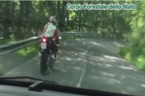 Contr CDS