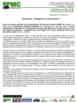 FFMC giletfluo