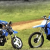 BabyRidingSchool