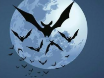 Pipistrelli