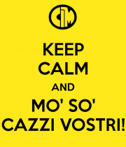 keep calm and mo so cazzi vostri 1